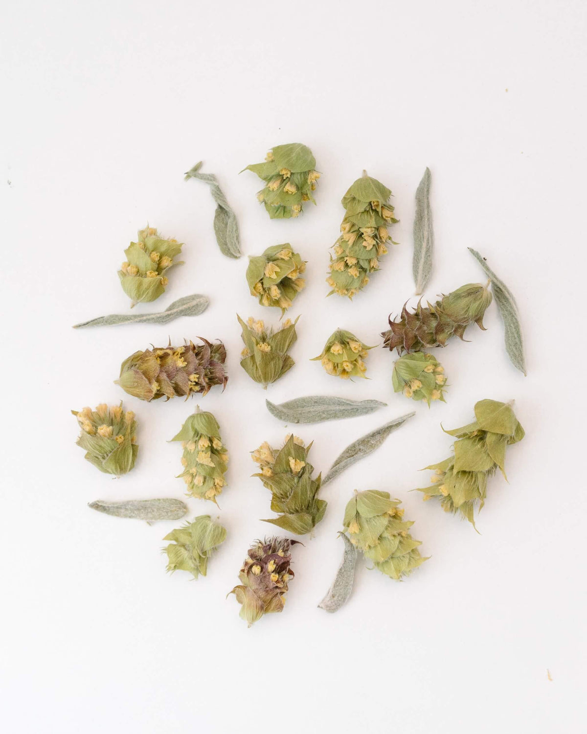 Organic Mountain Tea (Loose) 25g