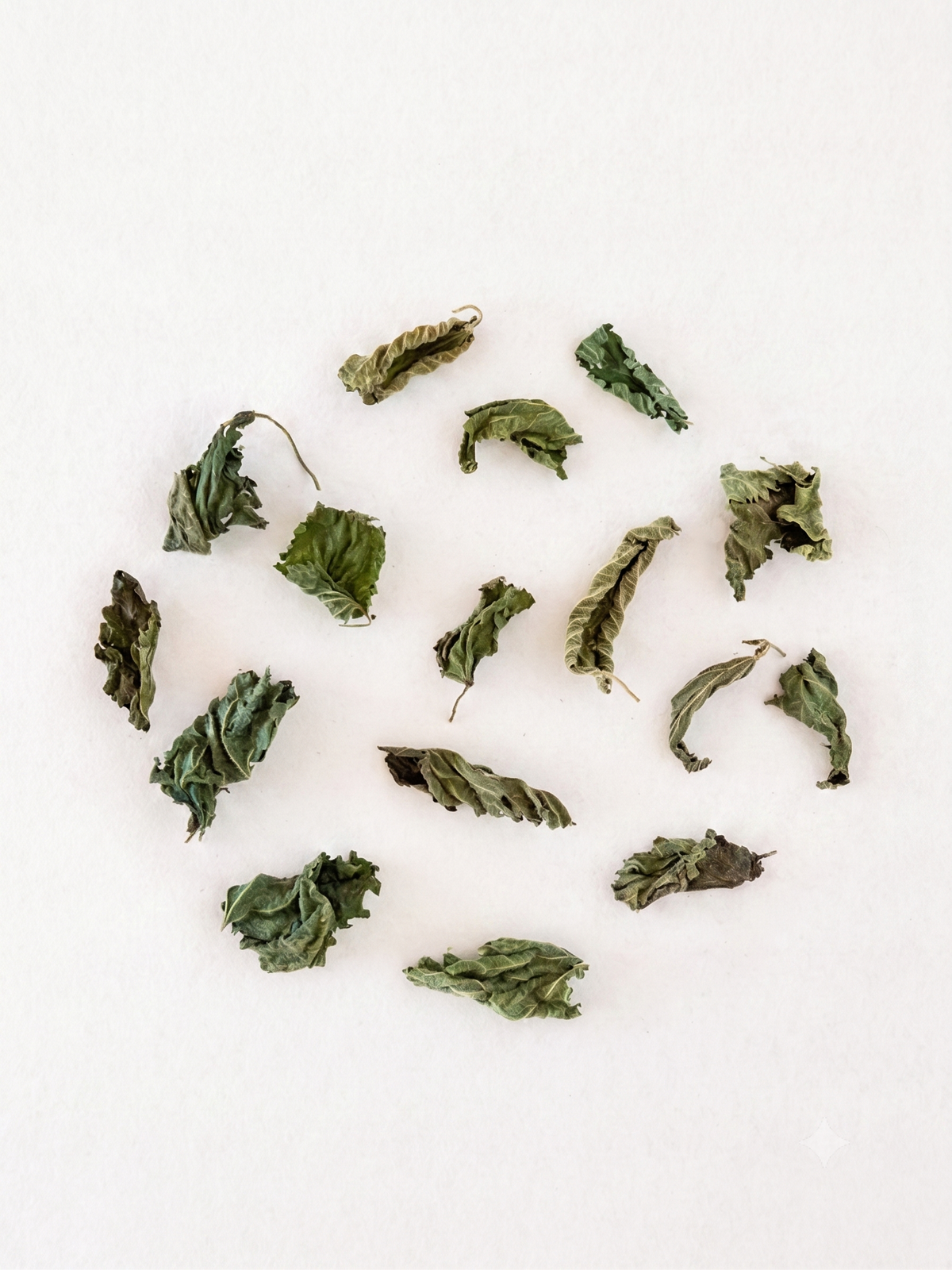 Organic Nettle 20g (Loose)